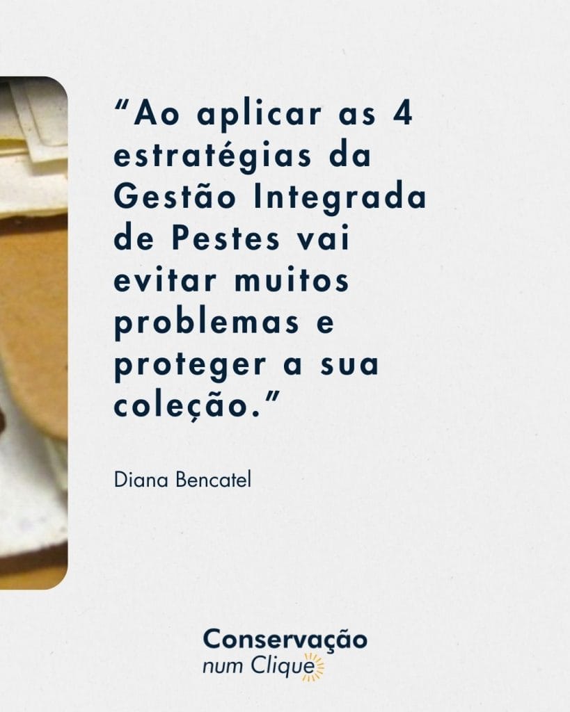 Frase de Diana Bencatel do Podcast da Conservação num Clique