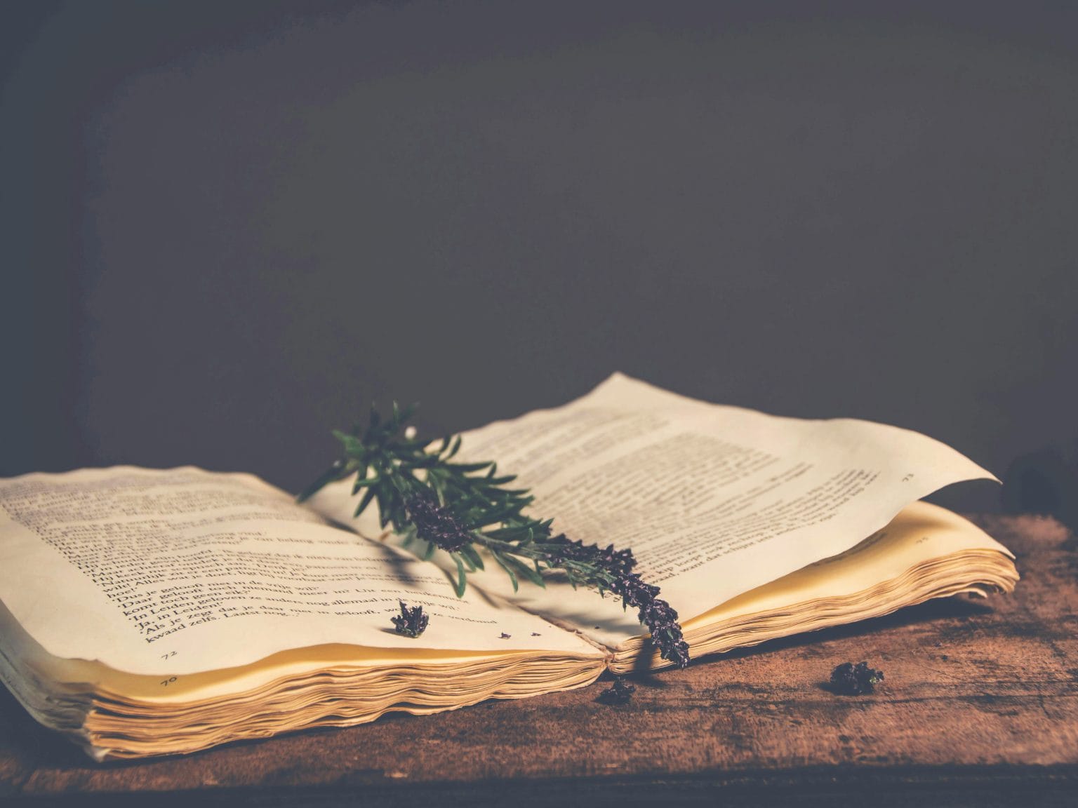 Livro antigo com páginas afetadas pela humidade