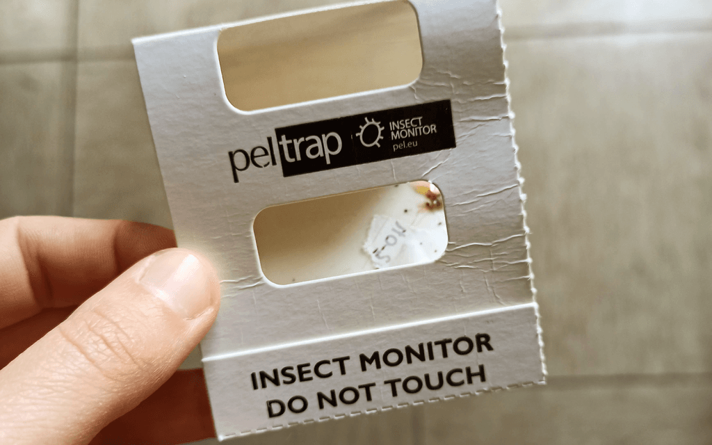 Armadilha para insetos da PELtrap com inseto no interior