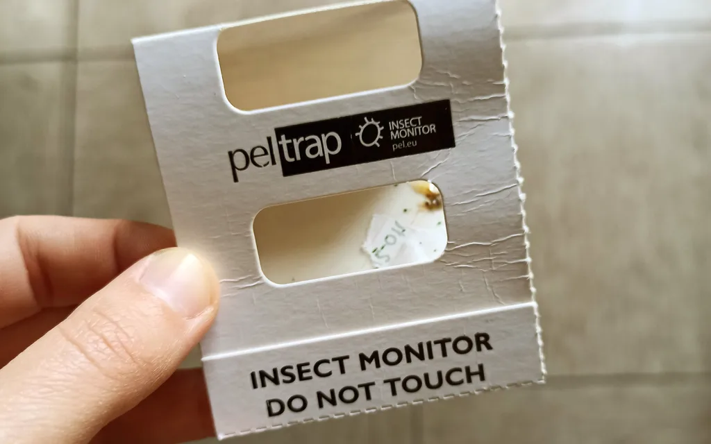 Armadilha para insetos da PELtrap com inseto no interior