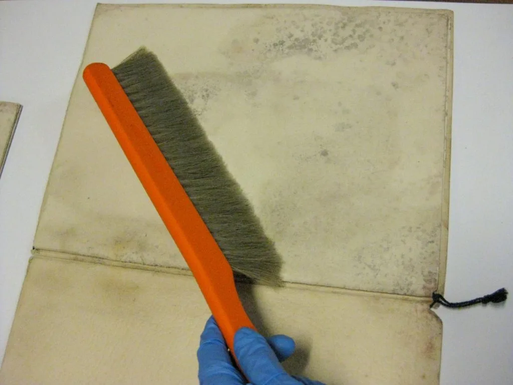 Limpar documento com pincel comprido