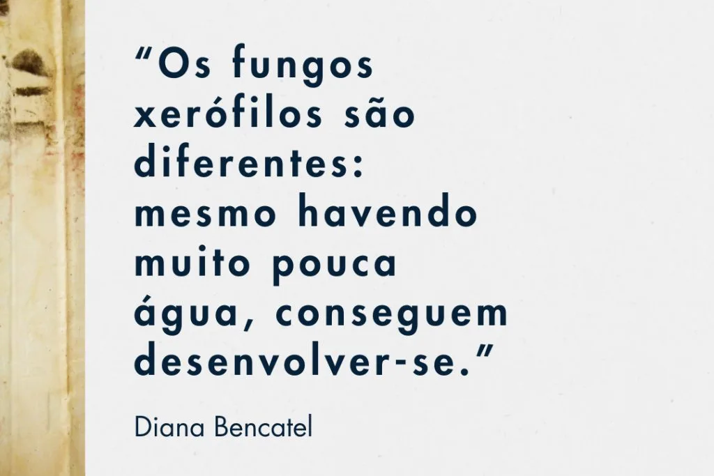 Frase do podcast da Conservação num Clique