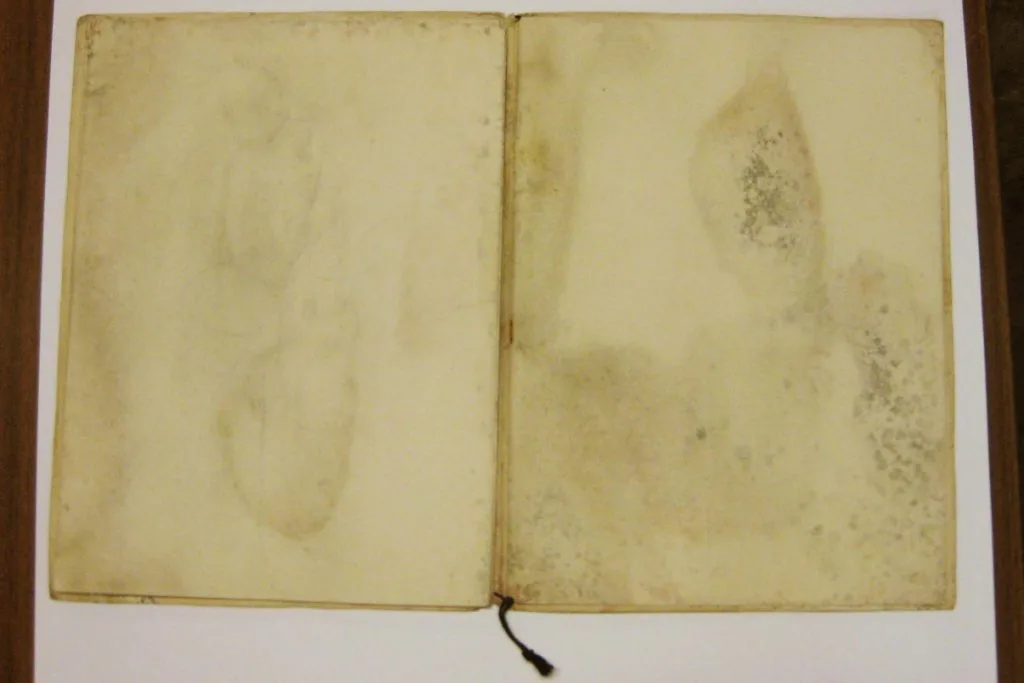 Documento com presença de fungos